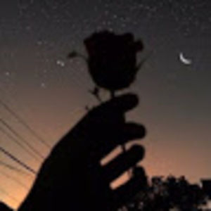 Meet your Posher, Kiley